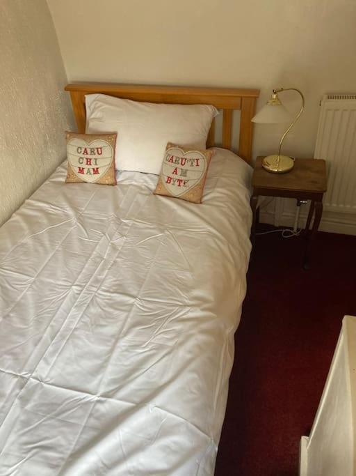 Lovely Peaceful 2 Bed Cottage Llandderfel Экстерьер фото