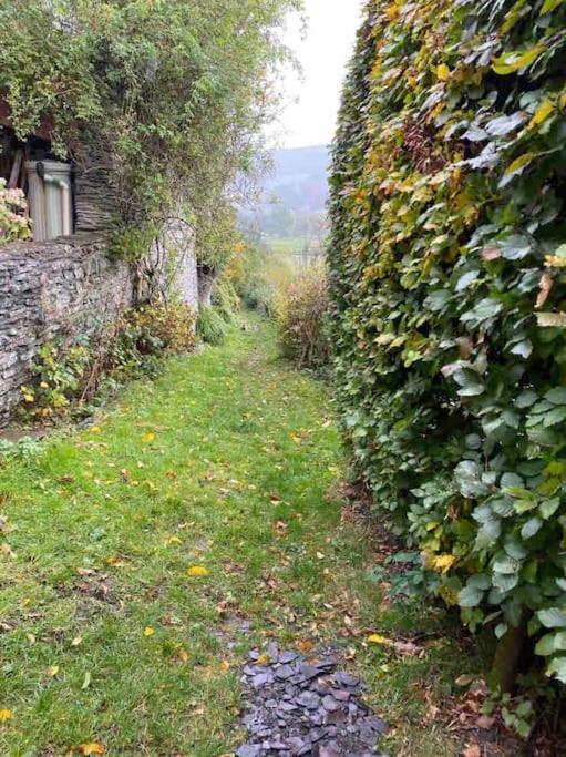 Lovely Peaceful 2 Bed Cottage Llandderfel Экстерьер фото